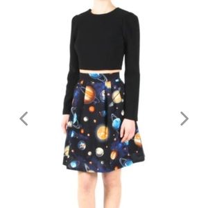 Birds of North America universe planet skirt